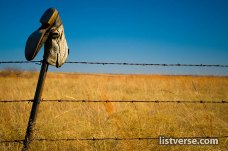 Barbedwire